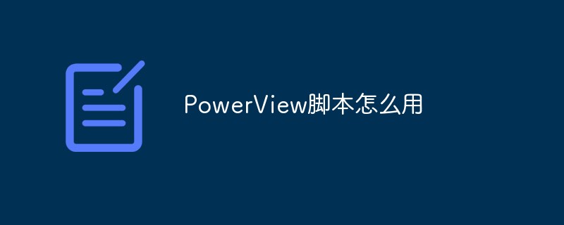 PowerView スクリプトの使用方法