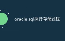 oracle sql执行存储过程