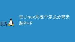 在Linux系統中怎麼分離安裝PHP