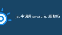 jsp中调用javascript函数吗