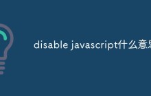 disable javascript什么意思