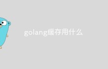 golang缓存用什么