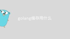 What to use for golang cache