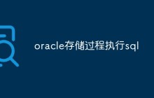 oracle存储过程执行sql