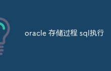 oracle 存储过程 sql执行