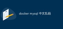 docker mysql 中文乱码
