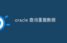 oracle 查询重复数据
