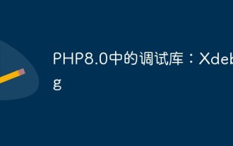 Debugging-Bibliothek in PHP8.0: Xdebug