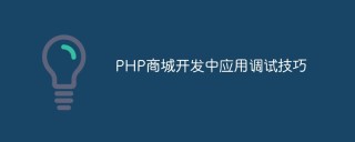 PHP商城开发中应用调试技巧