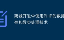 商城开发中使用PHP的数据缓存和异步处理技术