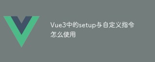 Vue3中的setup与自定义指令怎么使用