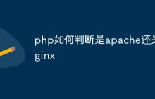 php如何判断是apache还是nginx