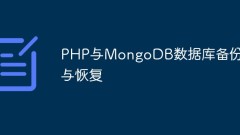 PHP 및 MongoDB 데이터베이스 백업 및 복구