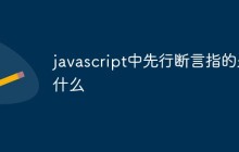 javascript中先行断言指的是什么