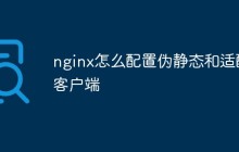 nginx怎么配置伪静态和适配客户端