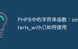 Fungsi rentetan dalam PHP8: Cara menggunakan str_starts_with()