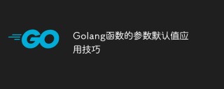 Golang函数的参数默认值应用技巧