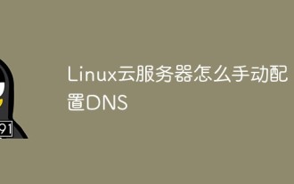 Bagaimana untuk mengkonfigurasi DNS untuk pelayan awan Linux secara manual