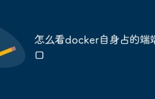 怎么看docker自身占的端端口