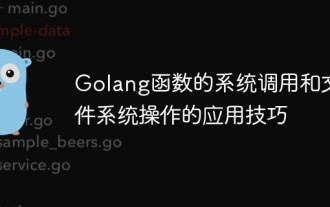 Application skills of system calls and file system operations of Golang functions