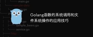 Golang函数的系统调用和文件系统操作的应用技巧