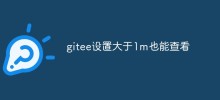 gitee設定大於1m也能查看