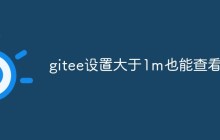 gitee设置大于1m也能查看