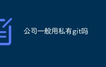 公司一般用私有git吗