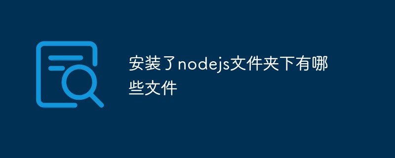 Quels fichiers se trouvent dans le dossier nodejs installé ?