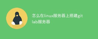 怎么在linux服务器上搭建gitlab服务器