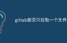 gitlab能否只拉取一个文件