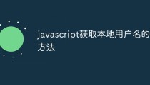 javascript获取本地用户名的方法