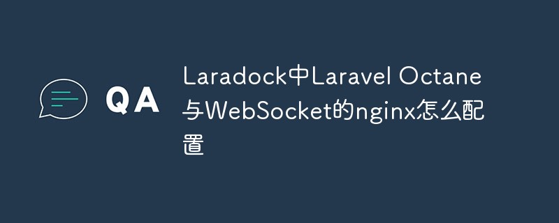 Laradock에서 Laravel Octane 및 WebSocket의 nginx를 구성하는 방법