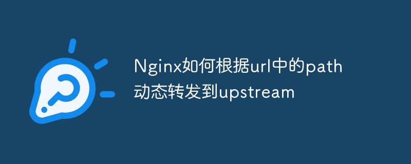 Wie Nginx basierend auf dem Pfad in der URL dynamisch an den Upstream weiterleitet