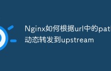 Nginx如何根据url中的path动态转发到upstream