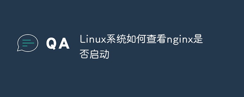 Linux 시스템에서 nginx가 시작되었는지 확인하는 방법