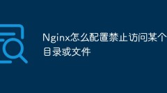 So konfigurieren Sie Nginx, um den Zugriff auf ein bestimmtes Verzeichnis oder eine bestimmte Datei zu verhindern