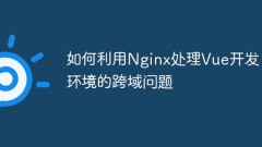 So verwenden Sie Nginx, um domänenübergreifende Probleme in der Vue-Entwicklungsumgebung zu lösen