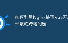 如何利用Nginx处理Vue开发环境的跨域问题
