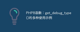 PHP8函数：get_debug_type()的多种使用示例