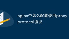So konfigurieren und verwenden Sie das Proxy-Protokoll in Nginx