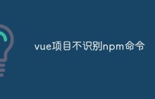 vue项目不识别npm命令