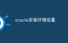 oracle安装环境变量