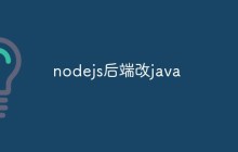 nodejs后端改java