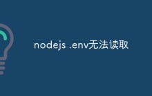nodejs .env无法读取