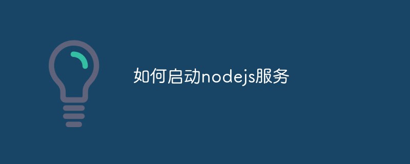 nodejs 서비스를 시작하는 방법