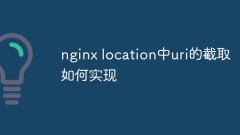 Wie man URI am Nginx-Standort abfängt