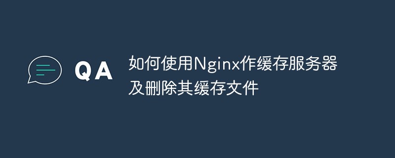 Nginx를 캐시 서버로 사용하고 캐시 파일을 삭제하는 방법