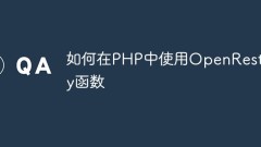 How to use OpenResty functions in PHP