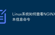Linux系统如何查看NGINX版本信息命令